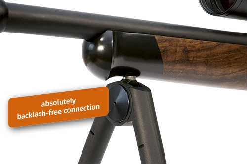 Anwendungsbeispiel Zweibein