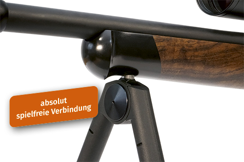 Anwendungsbeispiel Zweibein